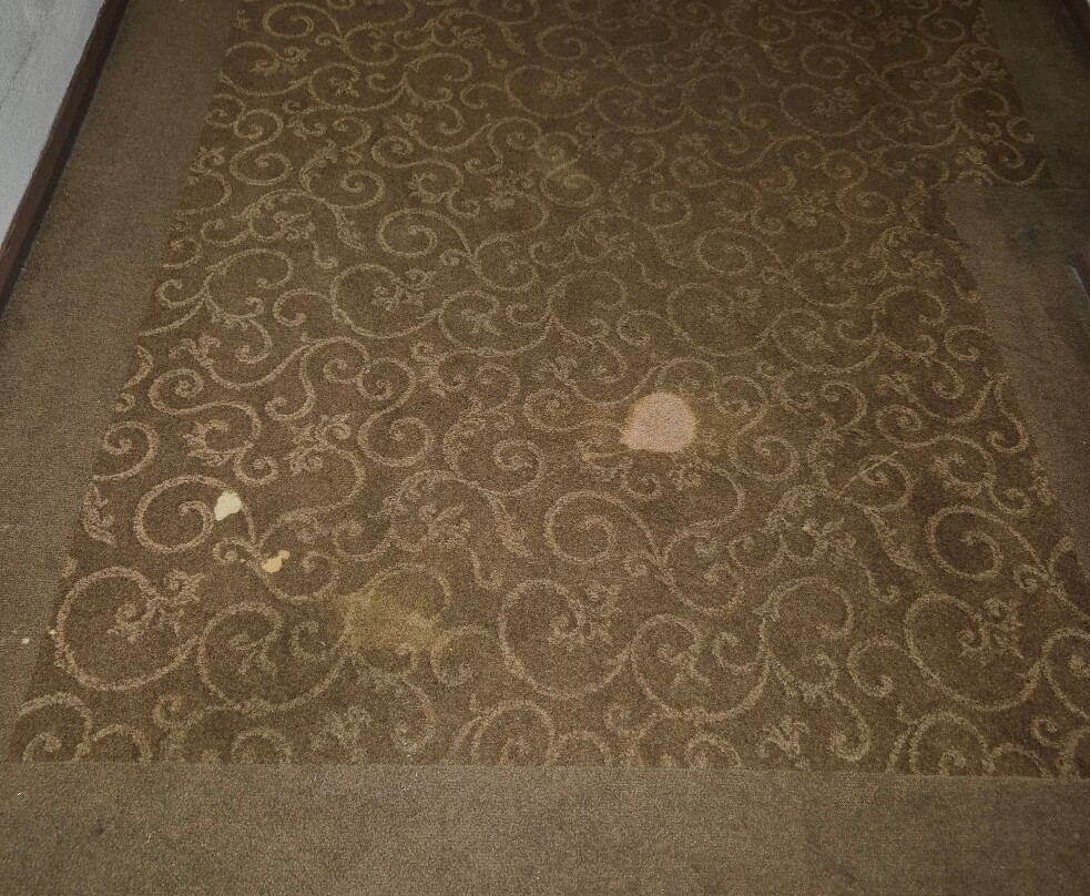 威廉明娜酒店主图