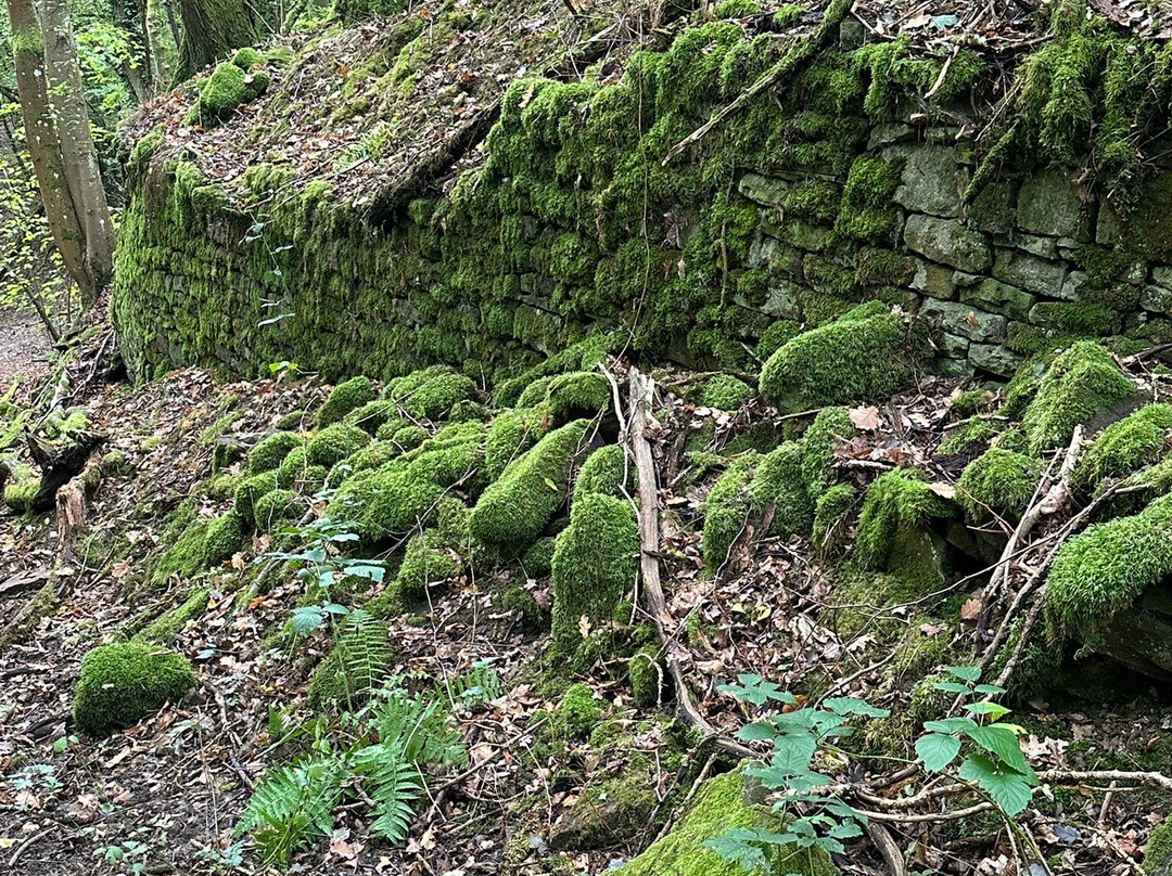 Magische Heimbach - Wanderung-Meisenheim必去景点