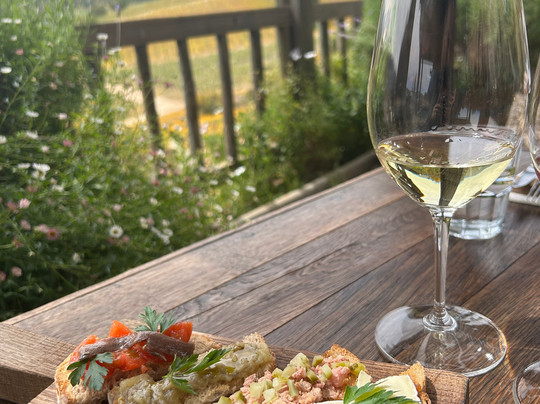 TravelCoachChile-Puerto Rio Tranquilo必去景点