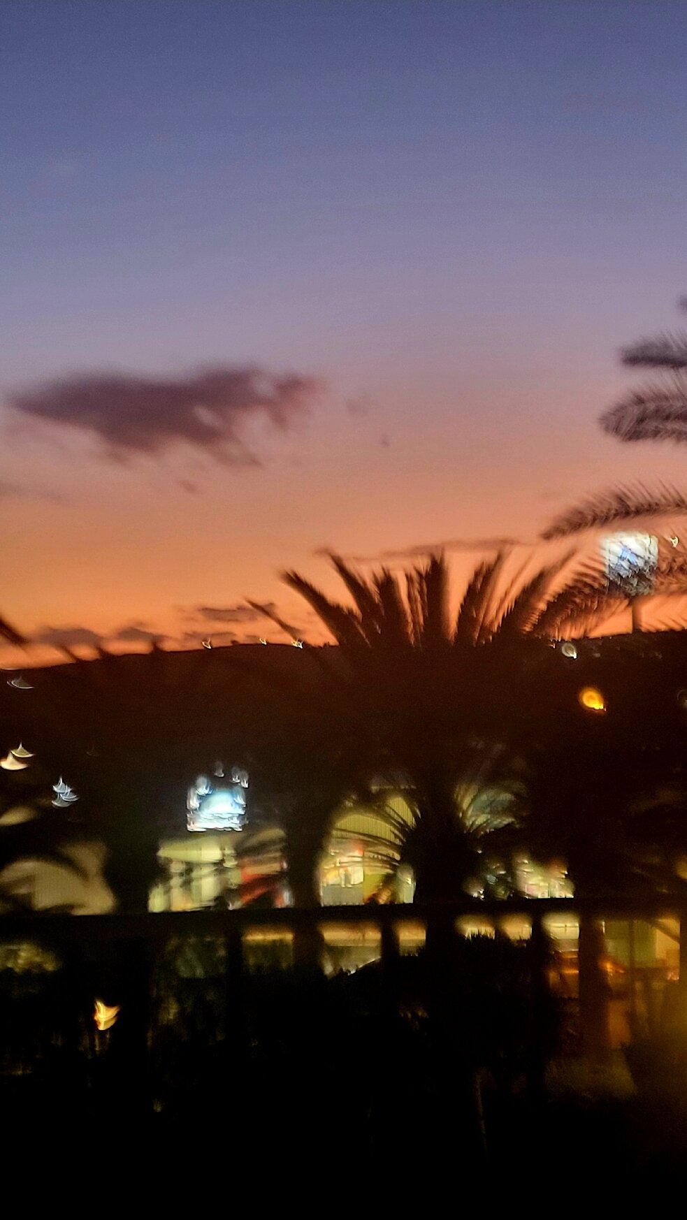 Palm Oasis Maspalomas-官方