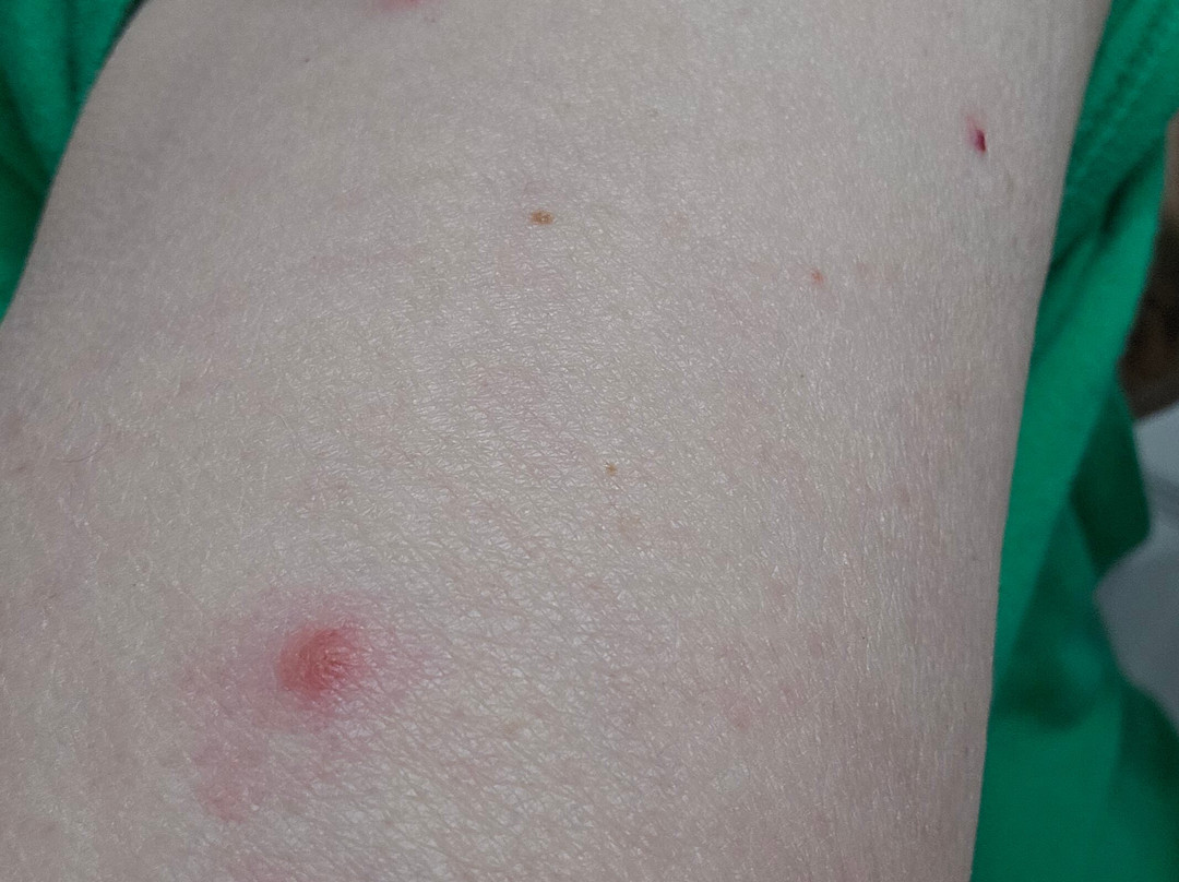 Best Western Lapeer Inn主图