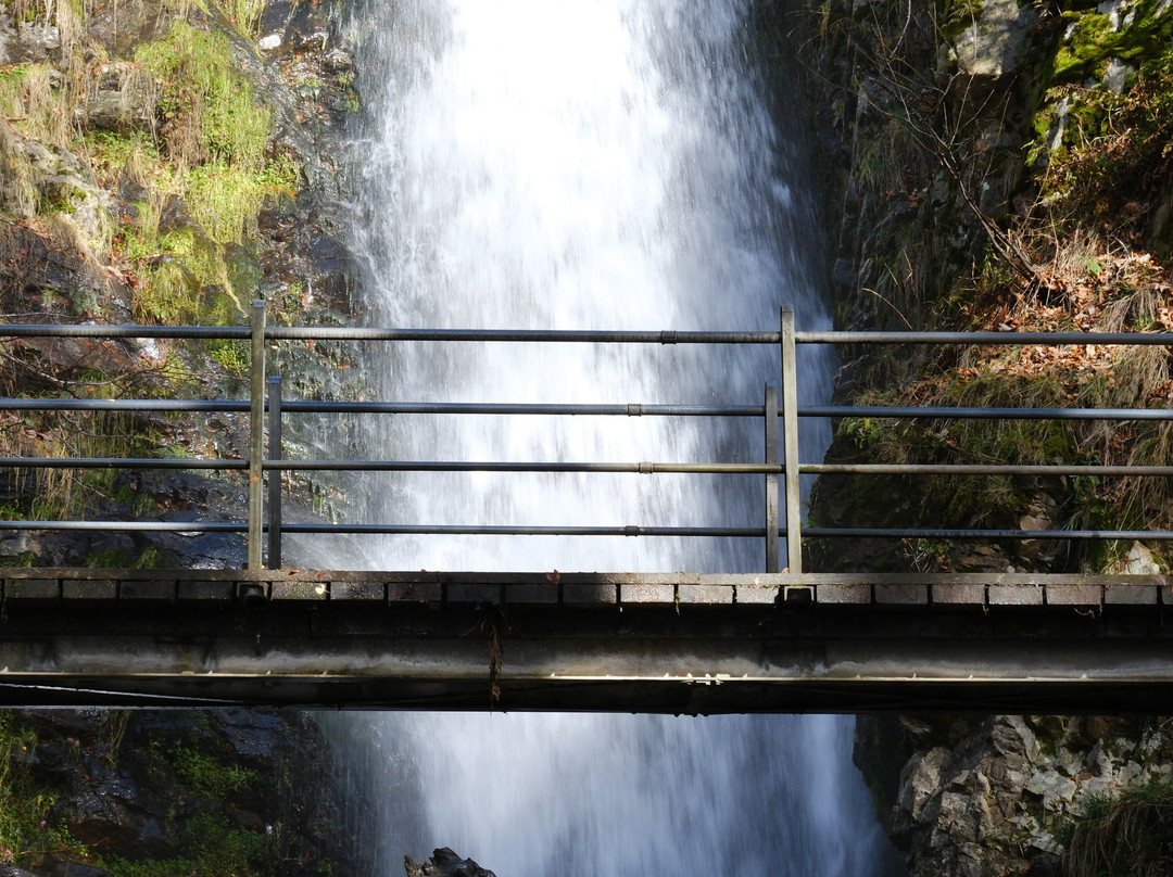 Todtnau Waterfalls-托特瑙必去景点