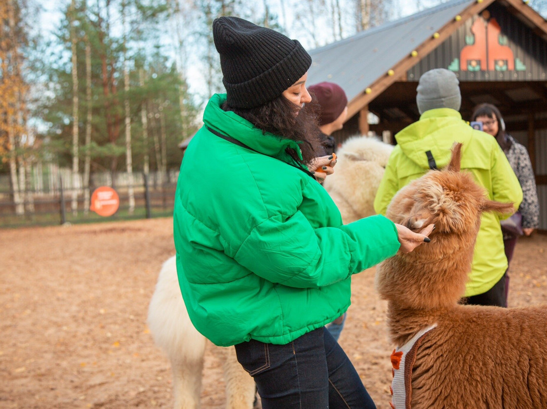 Pacha Mama Alpaca Park-Yasenevo必去景点