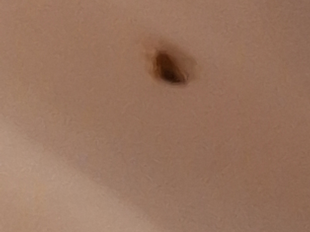 SpringHill Suites by Marriott Los Angeles Burbank/Downtown主图