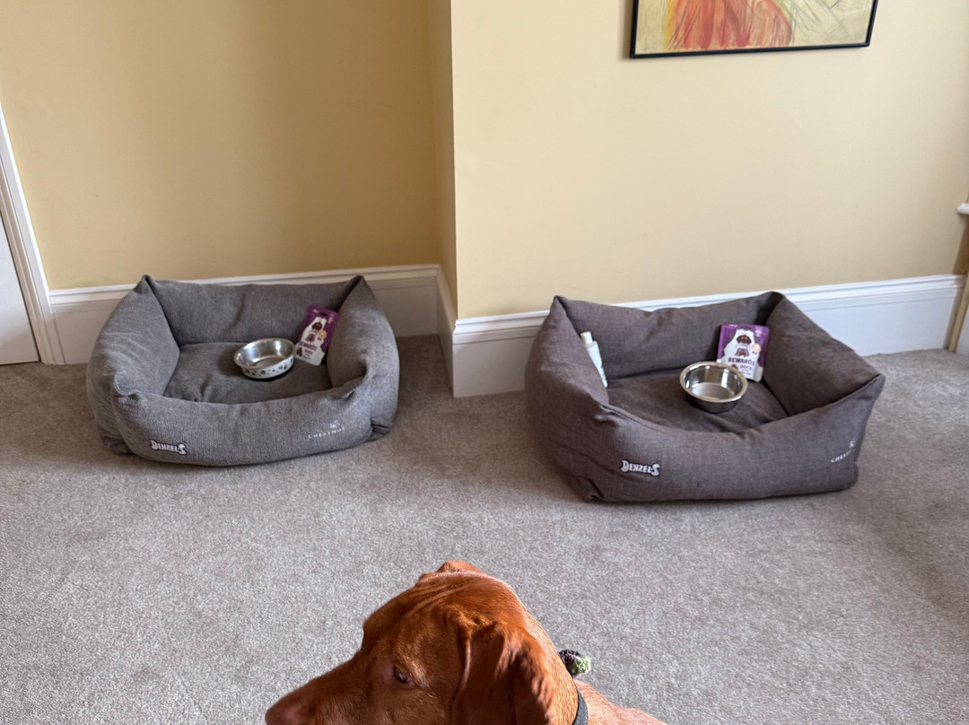 The Feathers Hotel主图