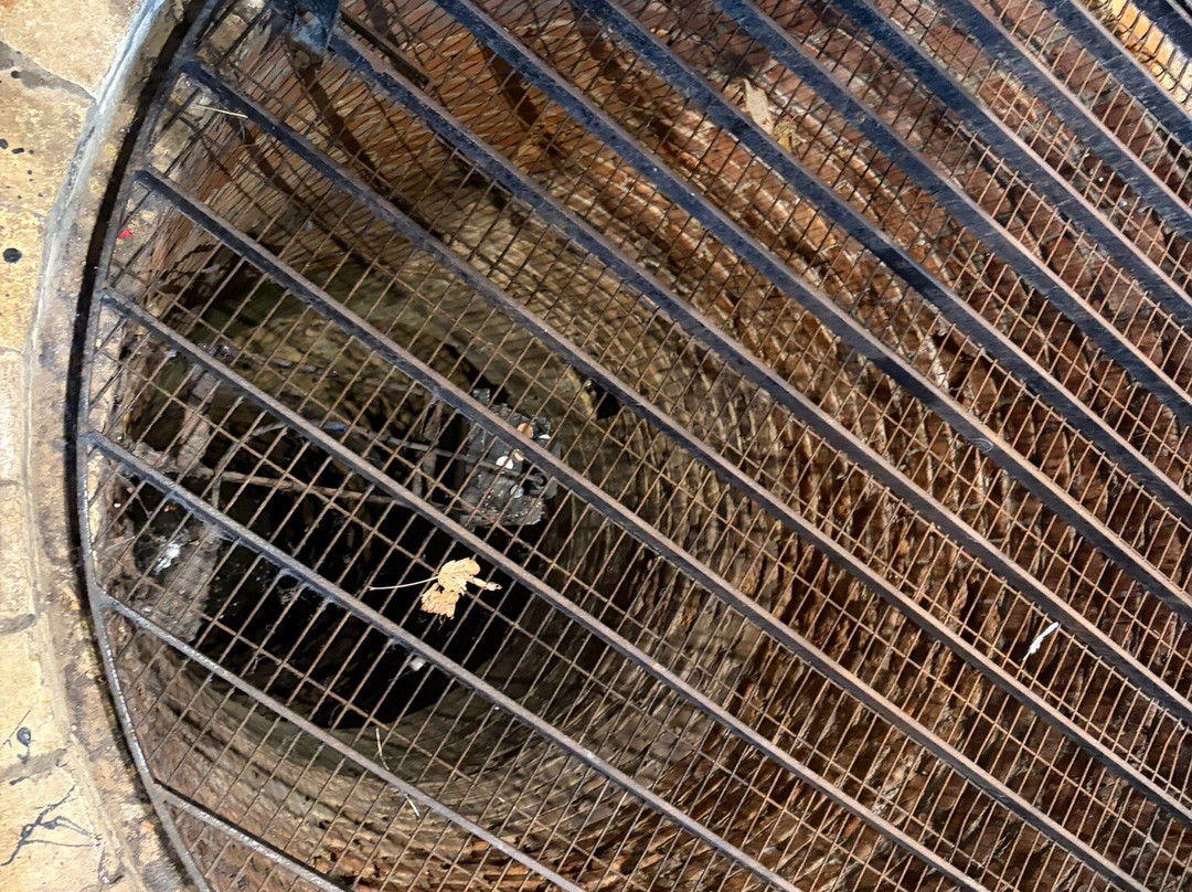 Colchester Castle Museum-科尔切斯特必去景点