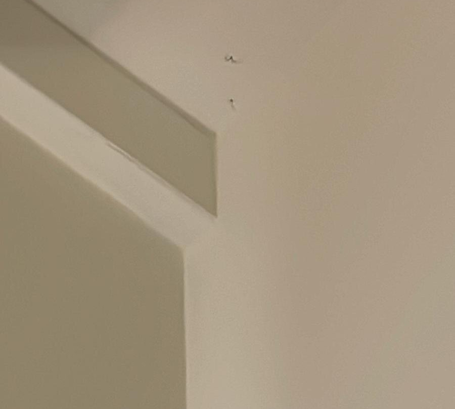 La Madernassa Resort主图