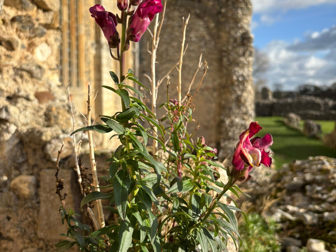 Binham Priory-Binham必去景点