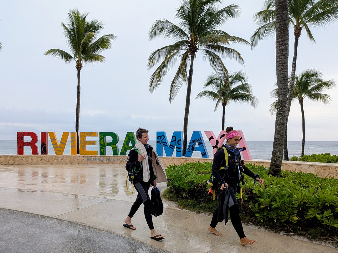 Dressel Divers - Barceló Maya Riviera