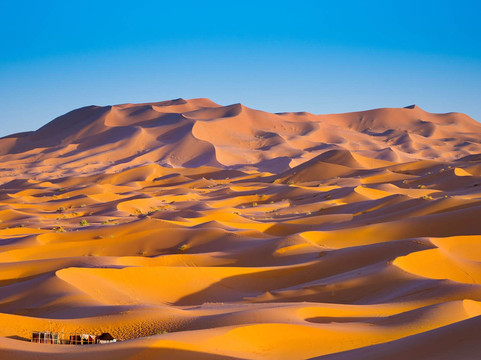 Sahara Gate Travel-索维拉必去景点