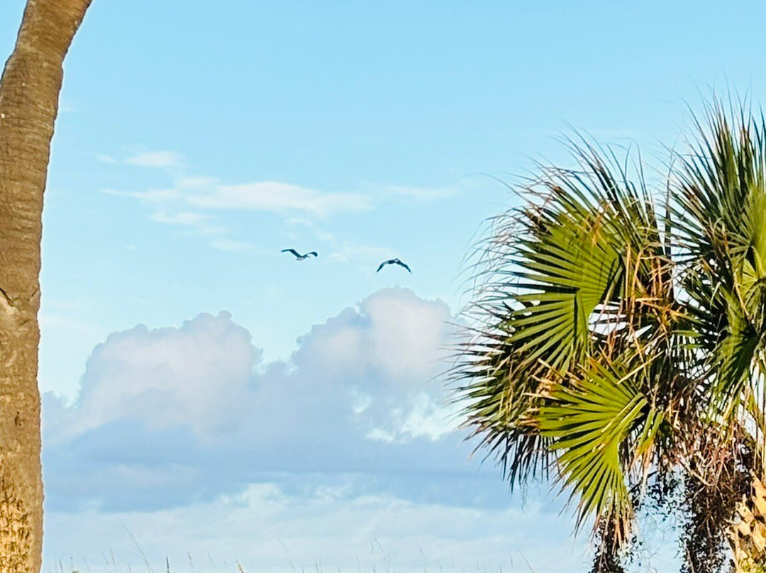 Sea Aire Motel主图