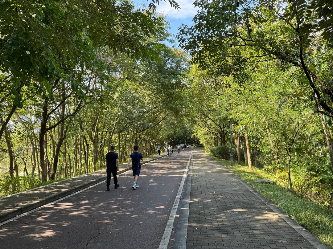 东莞虎英郊野公园-东莞市必去景点