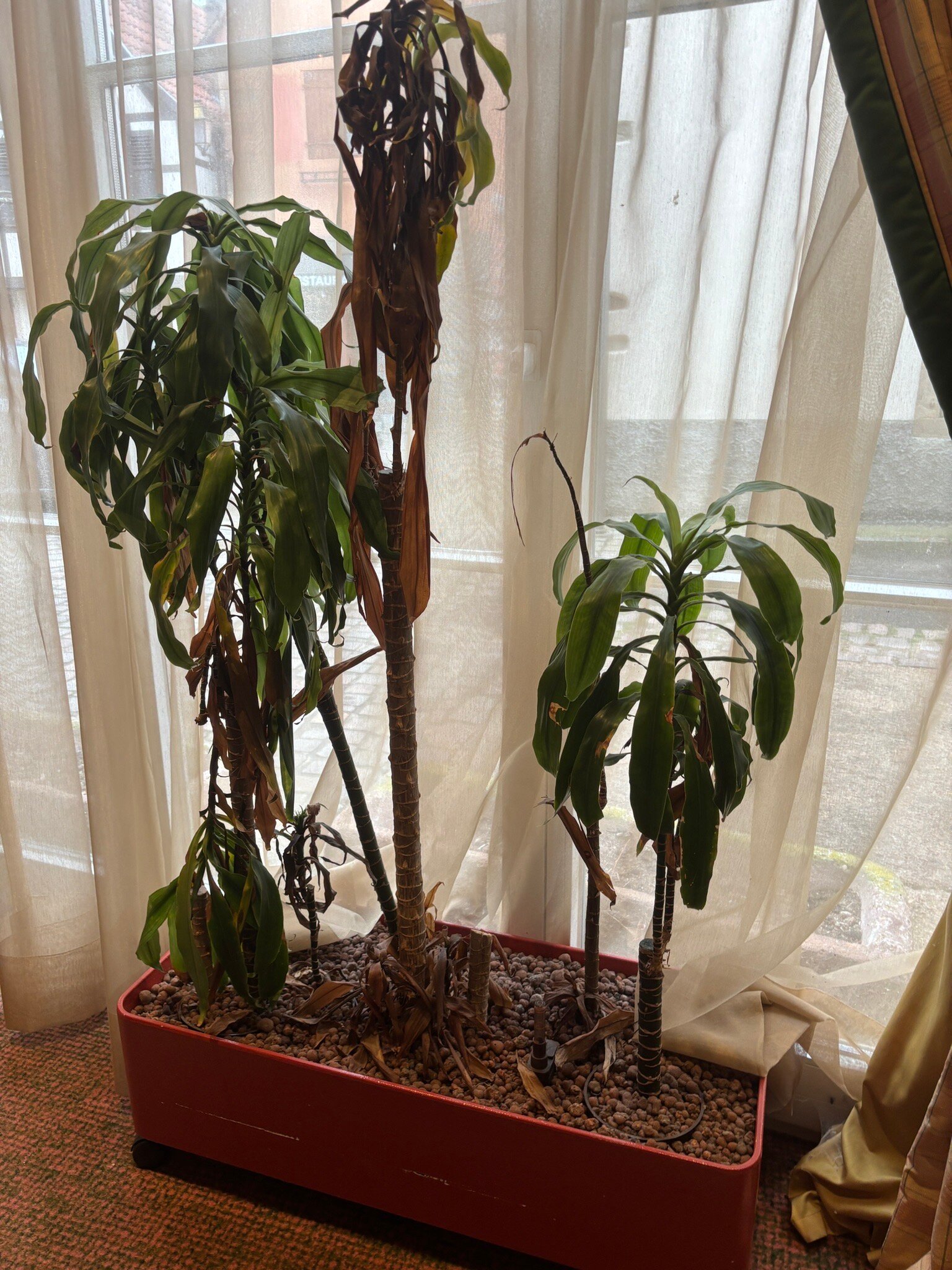 Hotel à la Cour d'Alsace by HappyCulture-官方