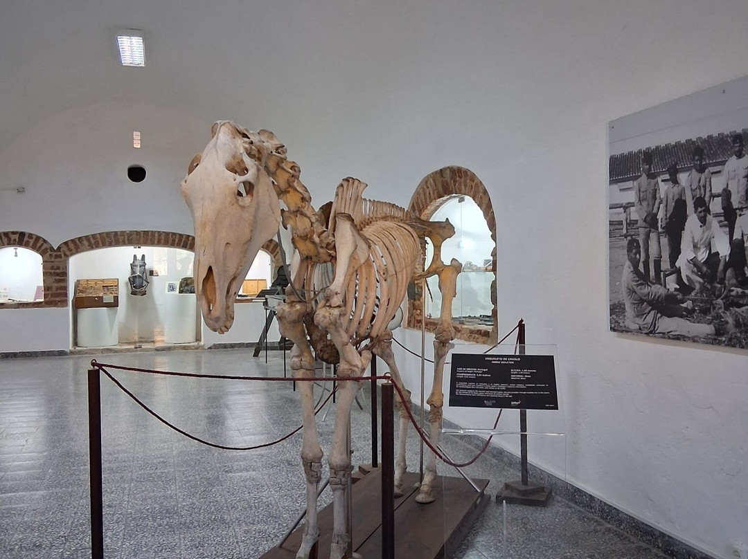 Museu Militar de Elvas-埃尔瓦什必去景点