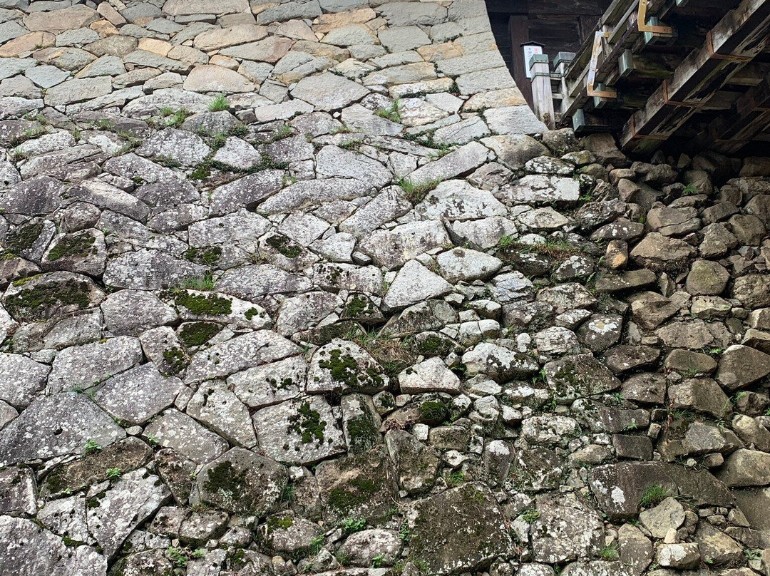 Hikone Castle Tembin Tower-彦根市必去景点