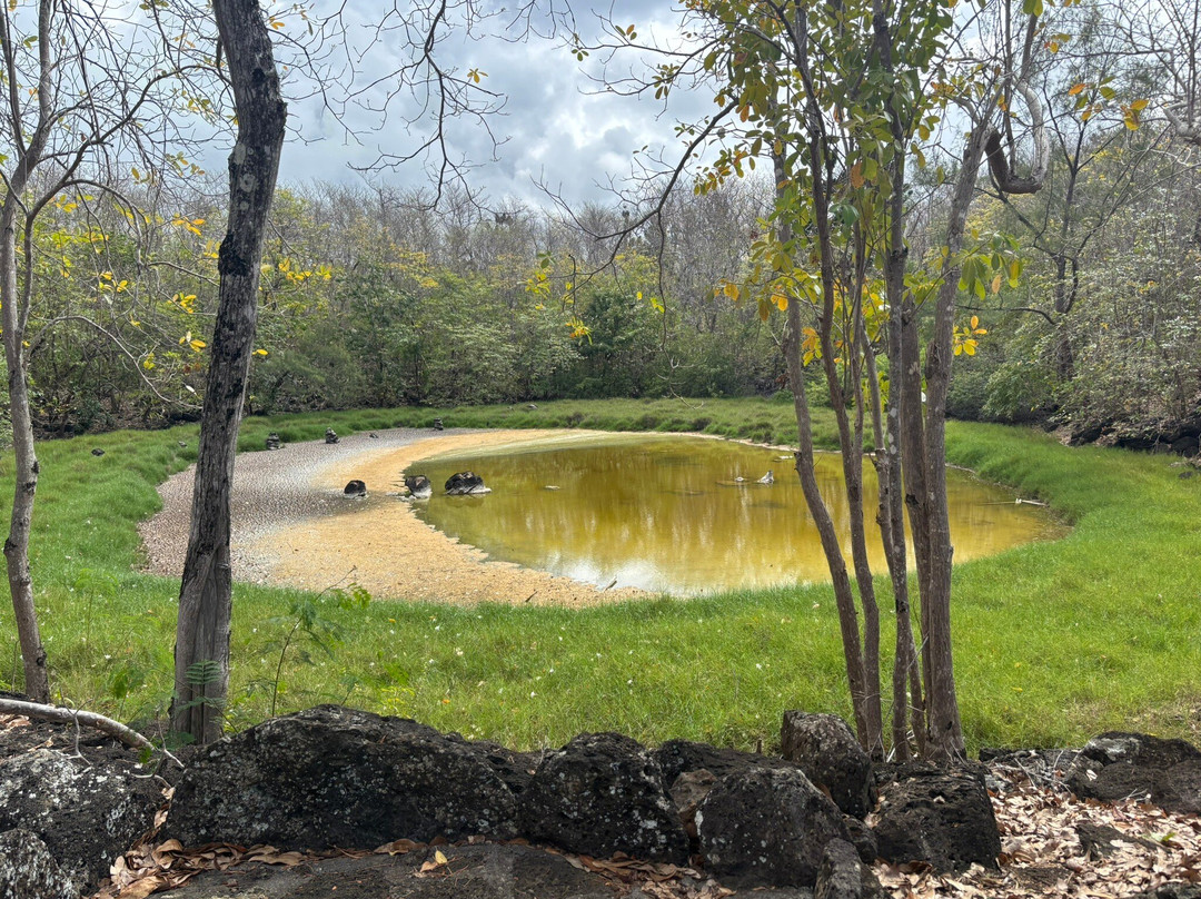 Le Grand Bleu Excursion-里维耶尔迪朗帕必去景点