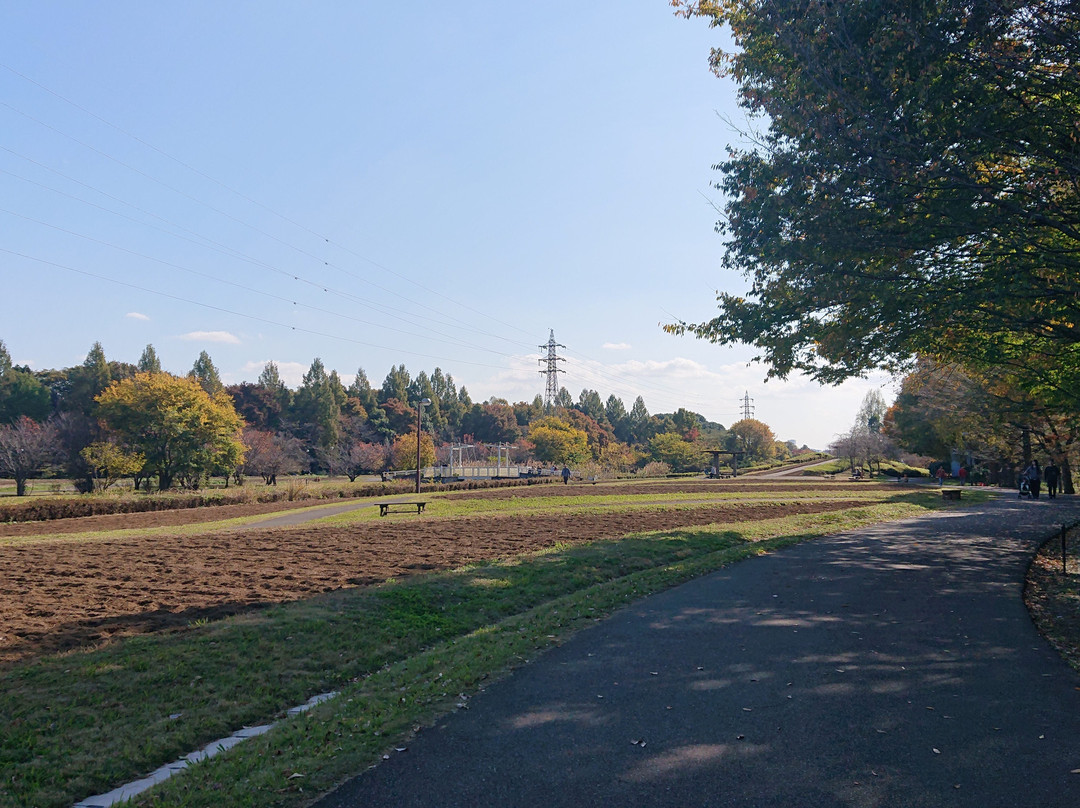 Omiya Hana no Oka Norin Park-埼玉市必去景点