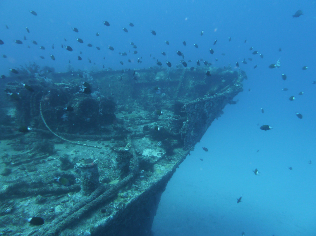 Just Diving-Bain Boeuf必去景点
