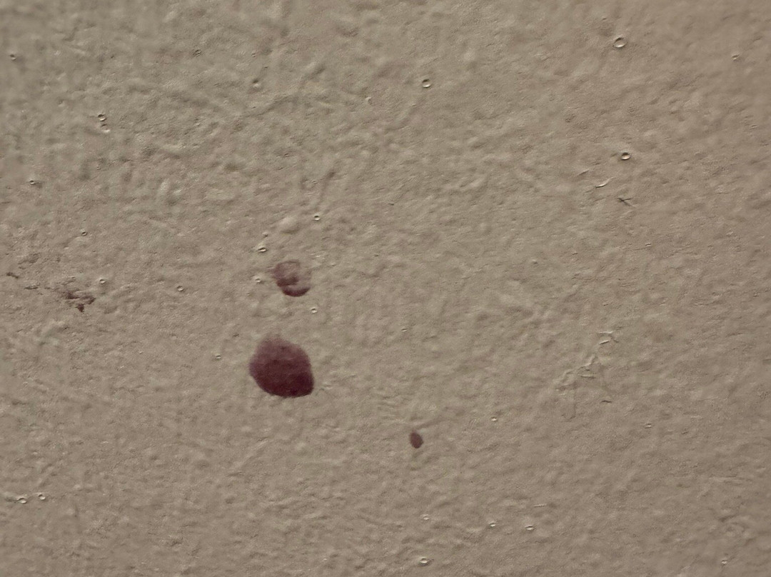 Travelodge Maldon主图