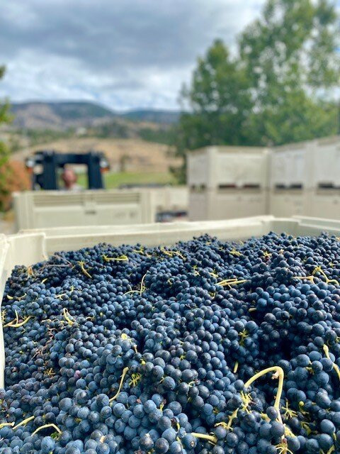 Blasted Church Vineyards-Okanagan Falls必去景点