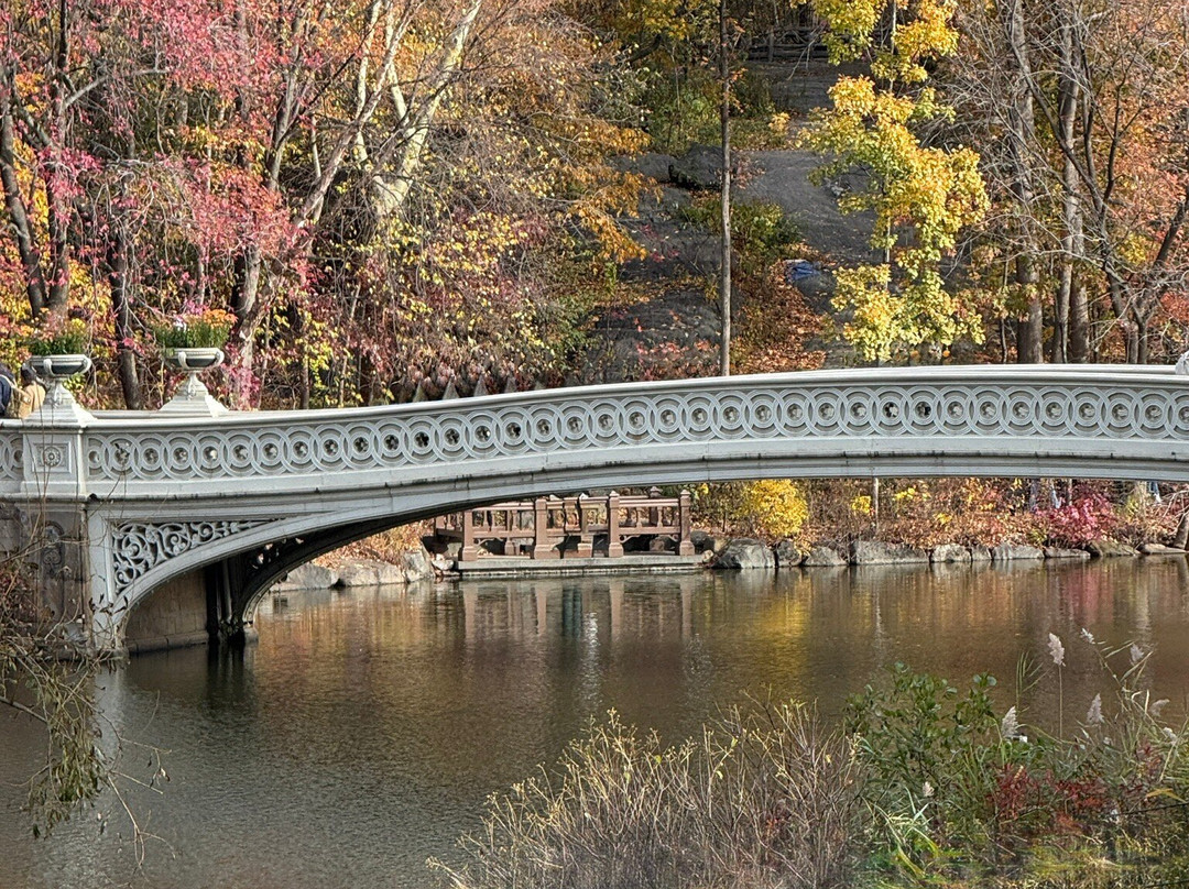 Night Your NYC Guide-纽约市必去景点