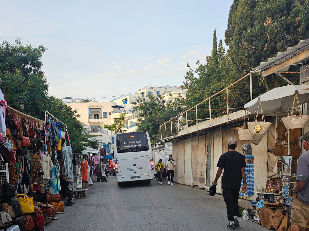 Sidi Bou Said Village-蓝白小镇必去景点