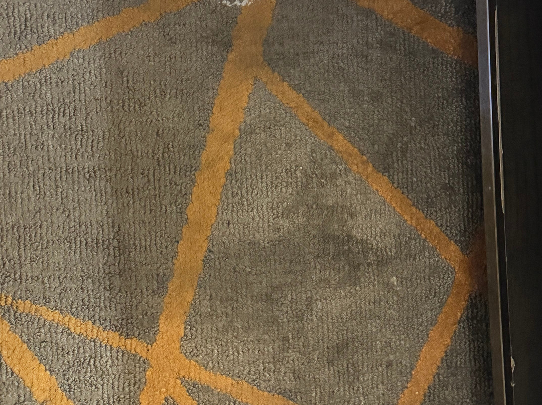 辛辛那提东北（布鲁阿什）希尔顿合博套房酒店主图