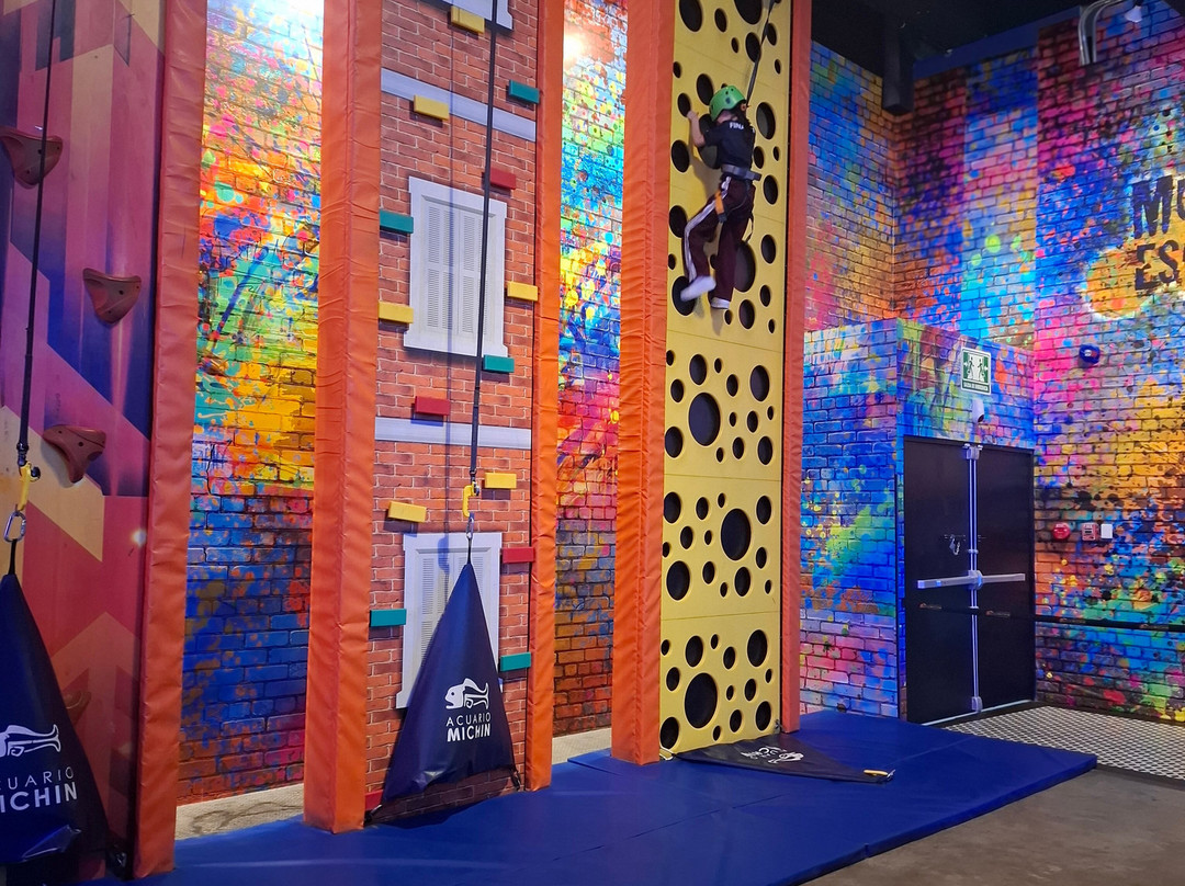 Acuario Michin Ciudad De Mexico-墨西哥城必去景点