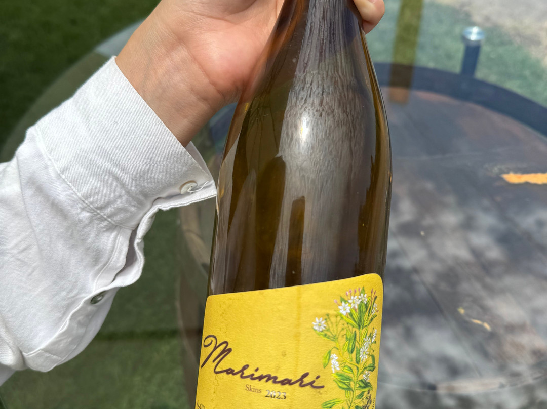 Viña Butron Budinich-兰卡瓜必去景点