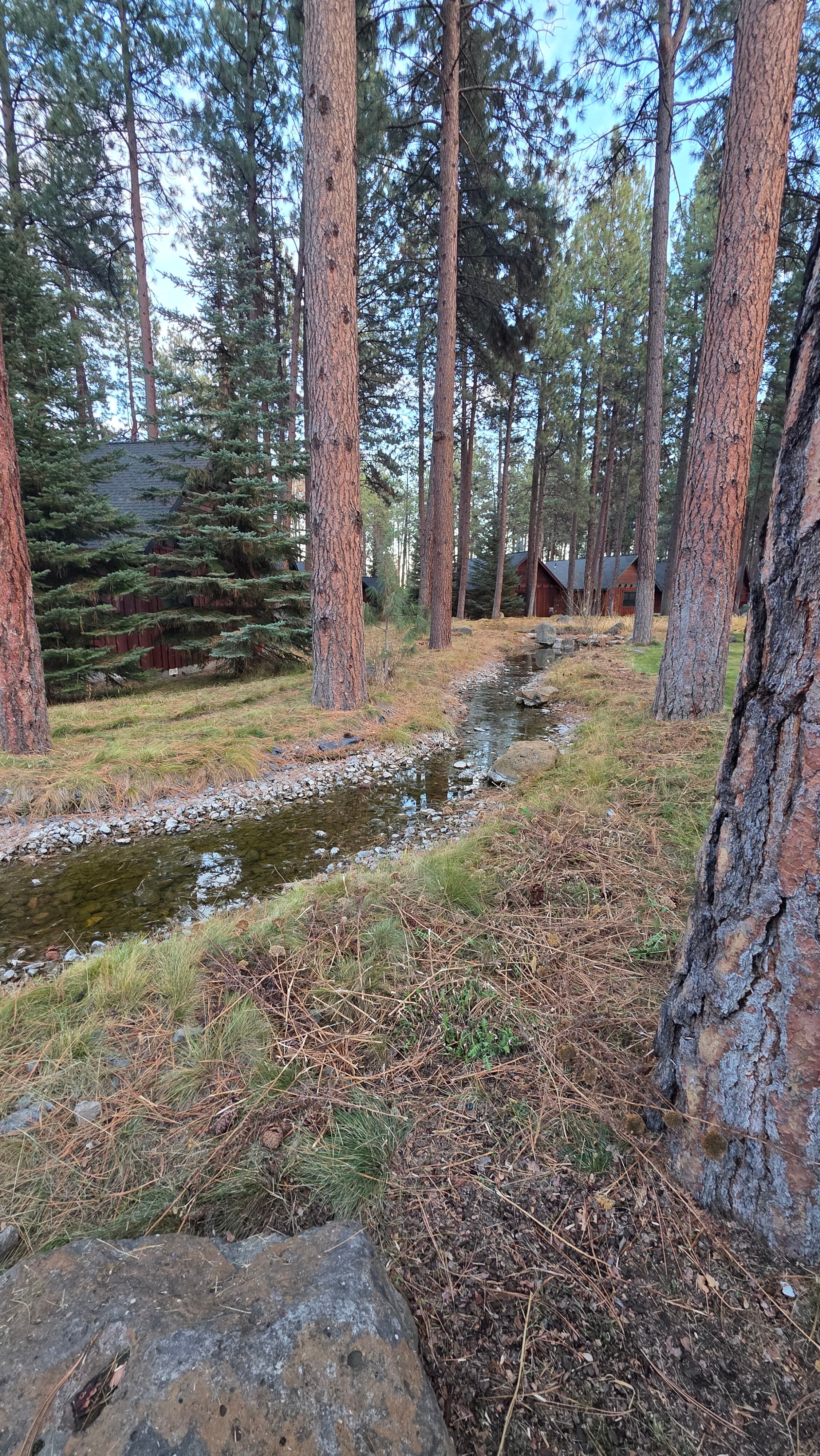 FivePine Lodge and Spa-浴室