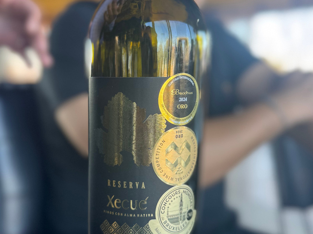 Xecue Vinicola-Valle de Guadalupe必去景点