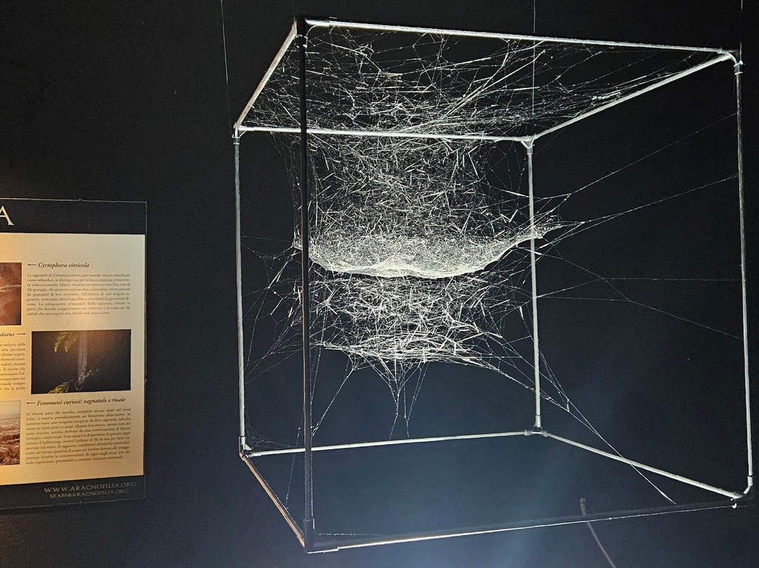 Citta Della Scienza-那不勒斯必去景点