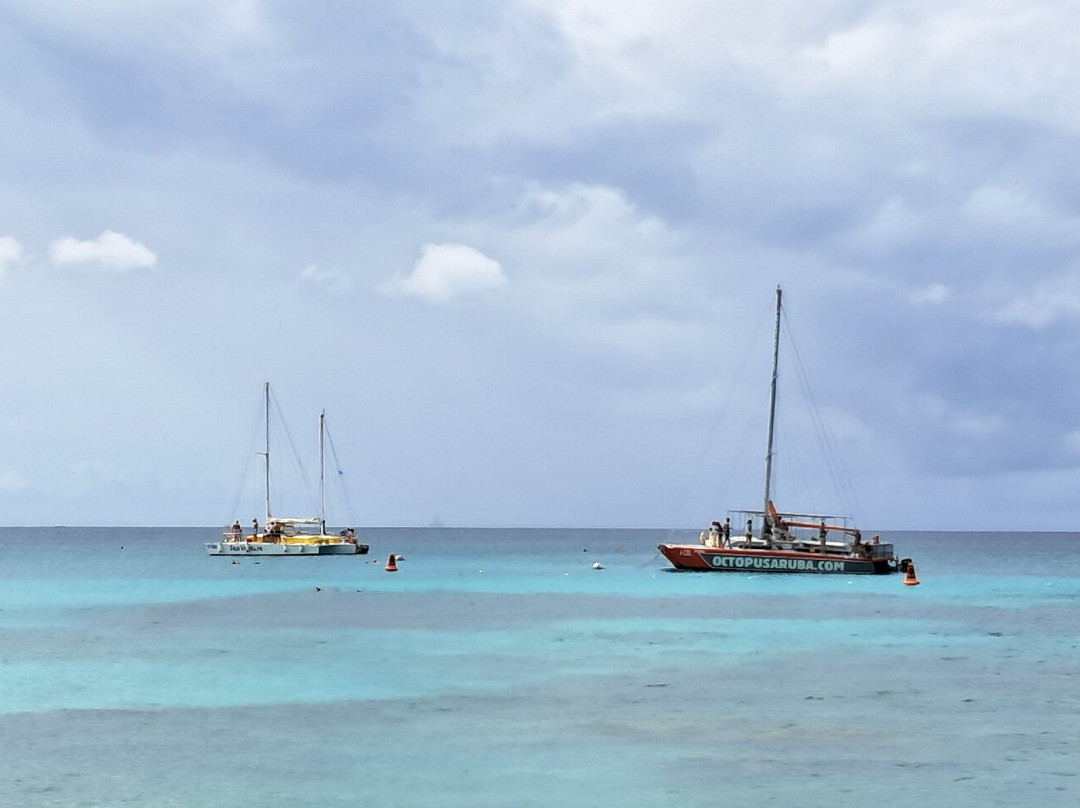 Boca Catalina-Noord必去景点