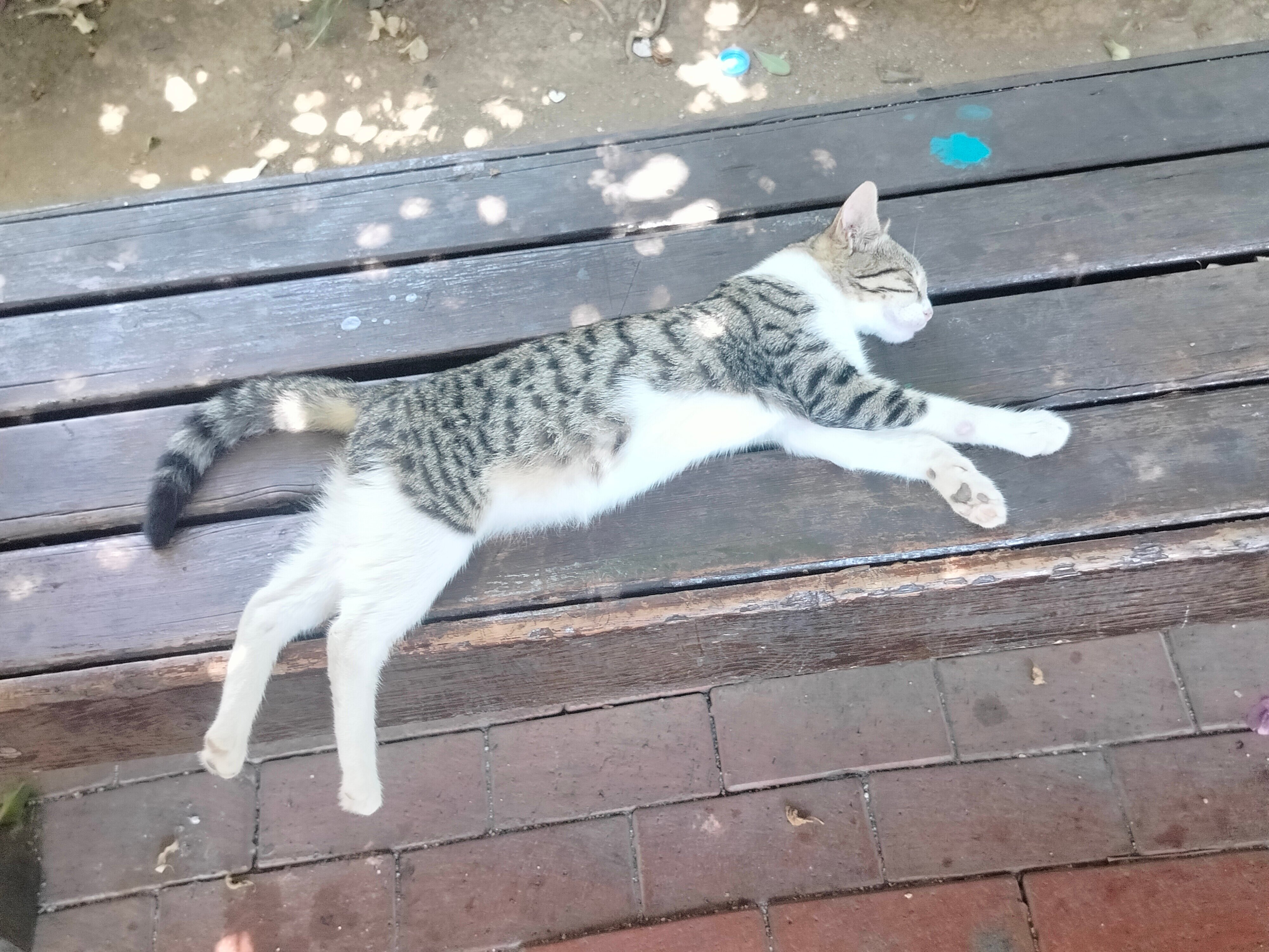 Aperion Beach Hotel Antalya-官方