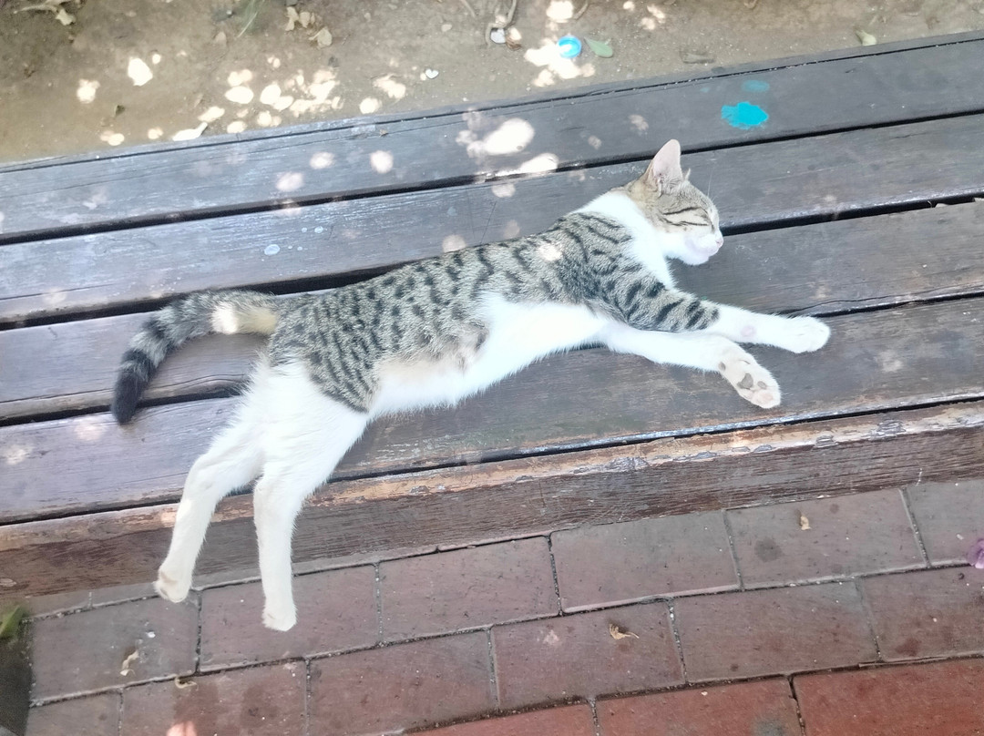 Aperion Beach Hotel Antalya主图