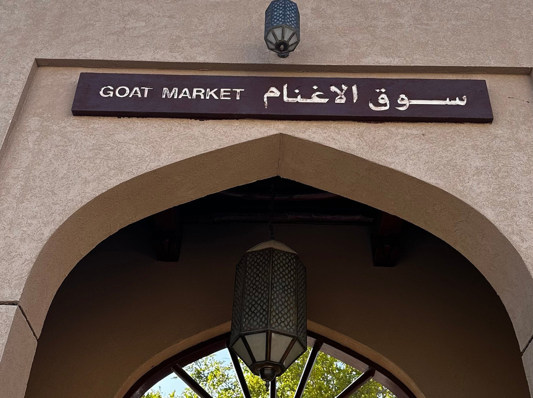 Muscat Nature Tours - Day Tours-马斯喀特必去景点