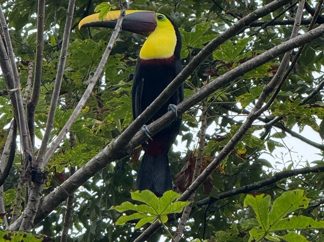 Costa Rica Focus-圣何塞必去景点