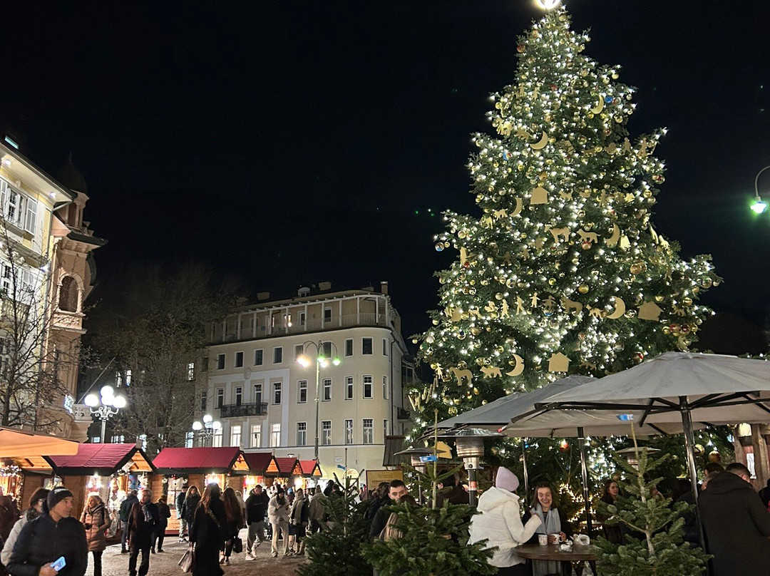 Bolzano Christmas Market-博尔扎诺必去景点