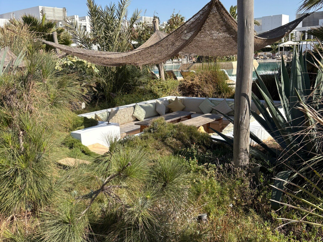 Thalassa Sea & Spa-阿加迪尔必去景点