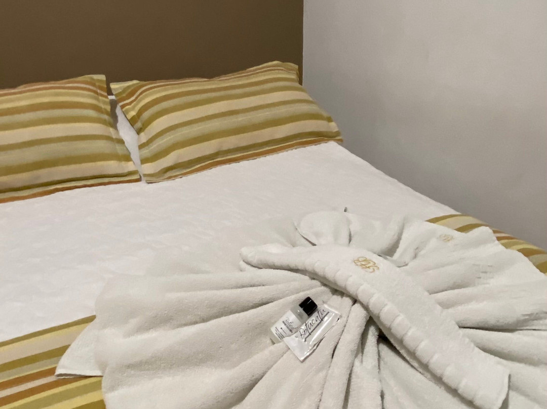 Botucatu Hotel主图