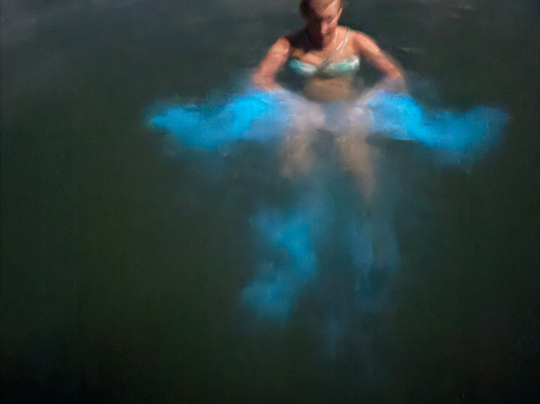 Aleli Tours - Day Tours-La Parguera必去景点