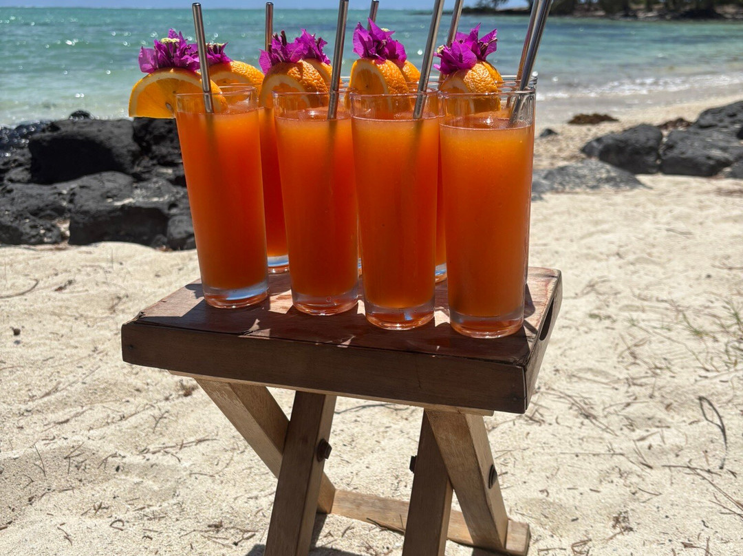 Paradisio Excursions Ile Maurice-大湾必去景点