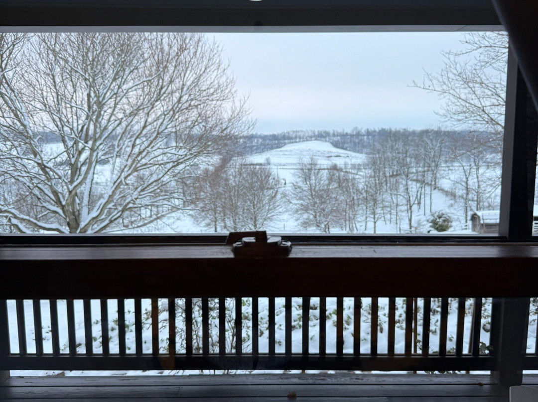 Miller Haus Bed and Breakfast主图