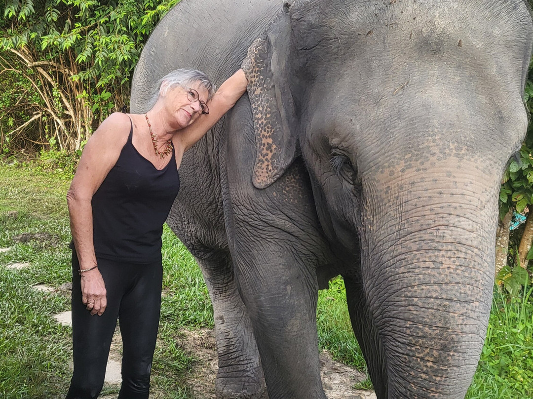 Chailai Orchid-清迈必去景点