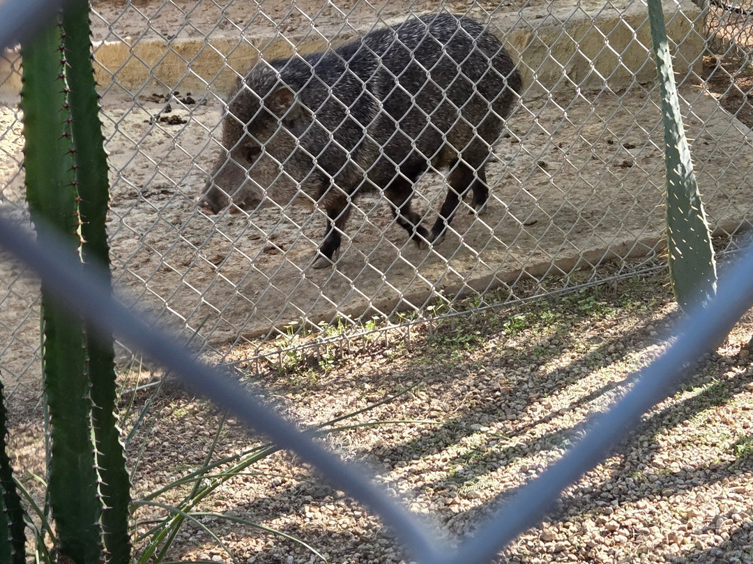 Southwest Wildlife Conservation Center-斯科茨代尔必去景点