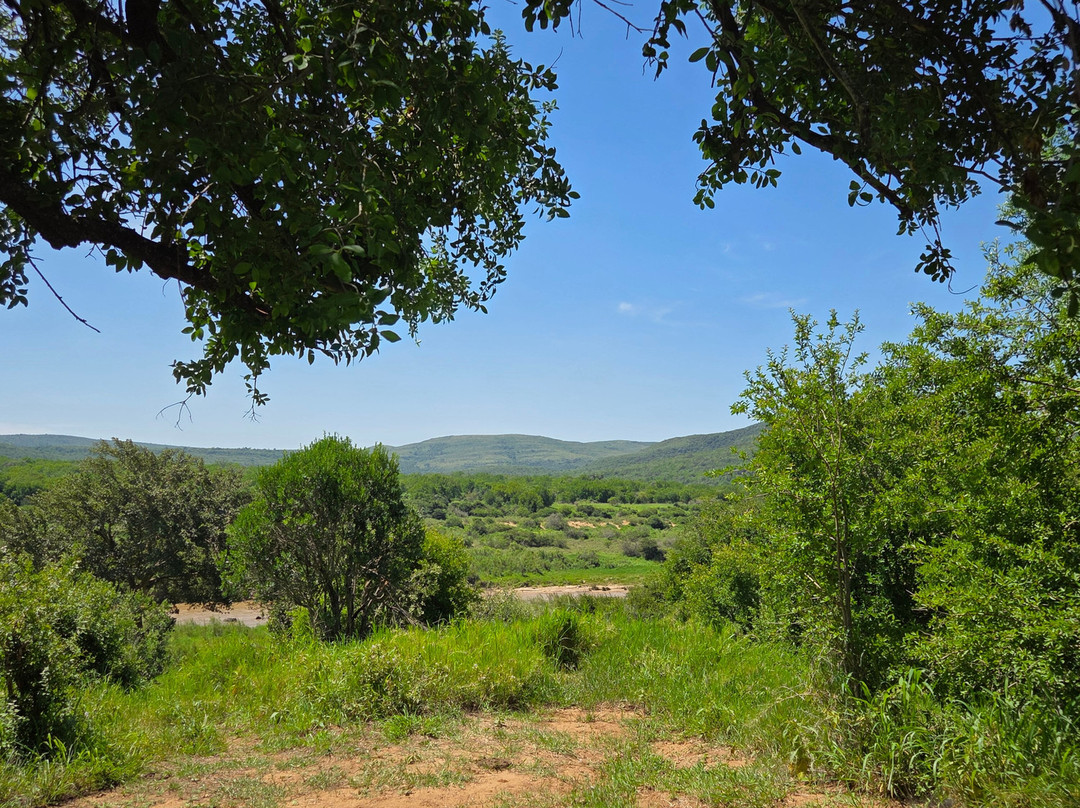 EuroZulu Guided Tours & Safaris-圣露西亚必去景点