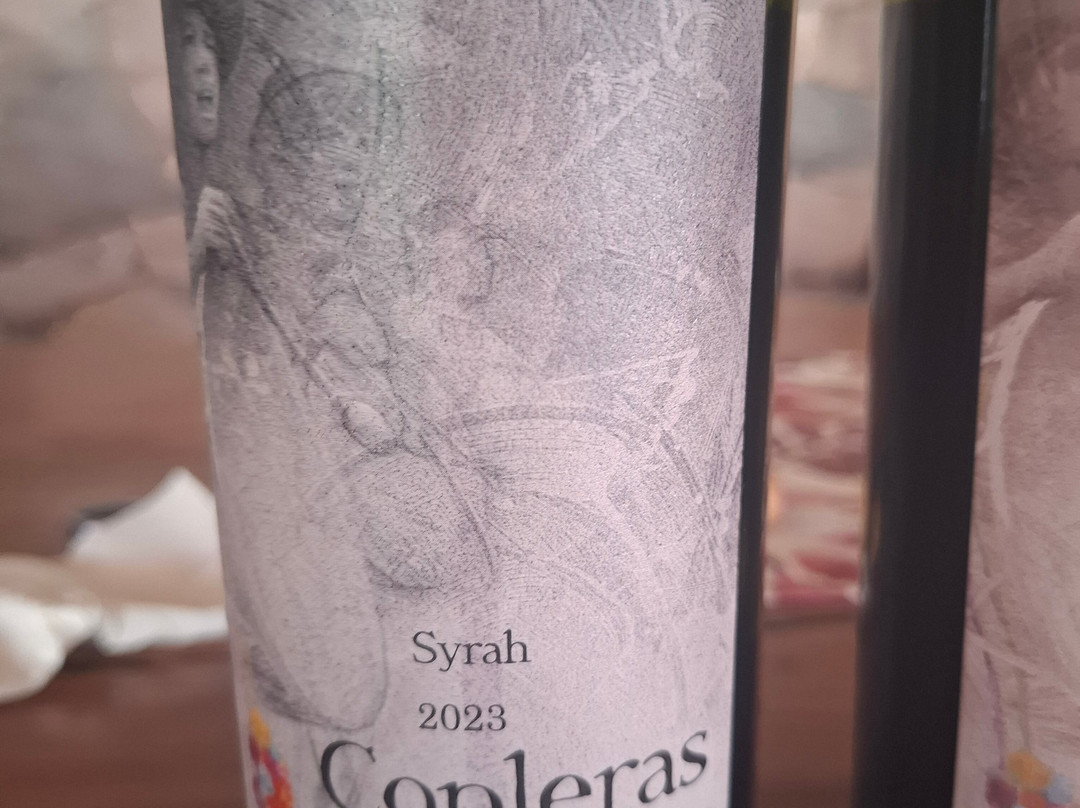 Bodega Kindgard-普尔马马尔卡必去景点