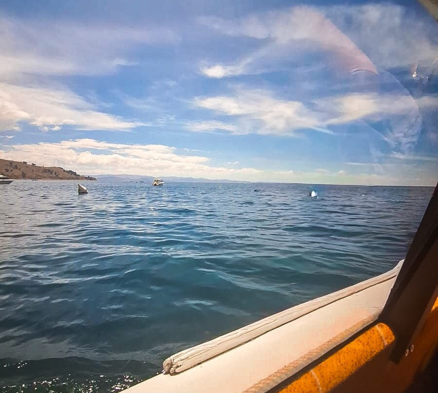 Evolution Adventure Travel - Death Road-拉巴斯必去景点