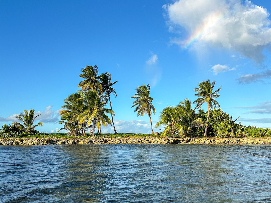 Peninsula Tours Las Terrenas-拉斯特拉纳斯必去景点
