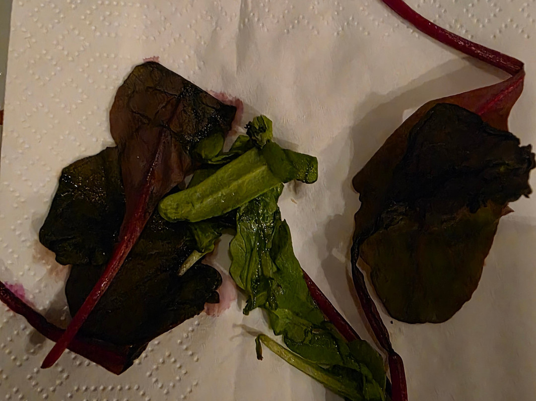 Quality Hotel Statt主图